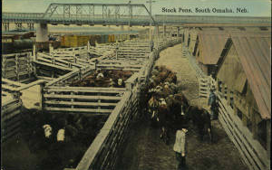 Stock pens, South Omaha, Neb.