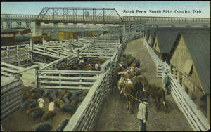 Stock pens, south side, Omaha, Neb.