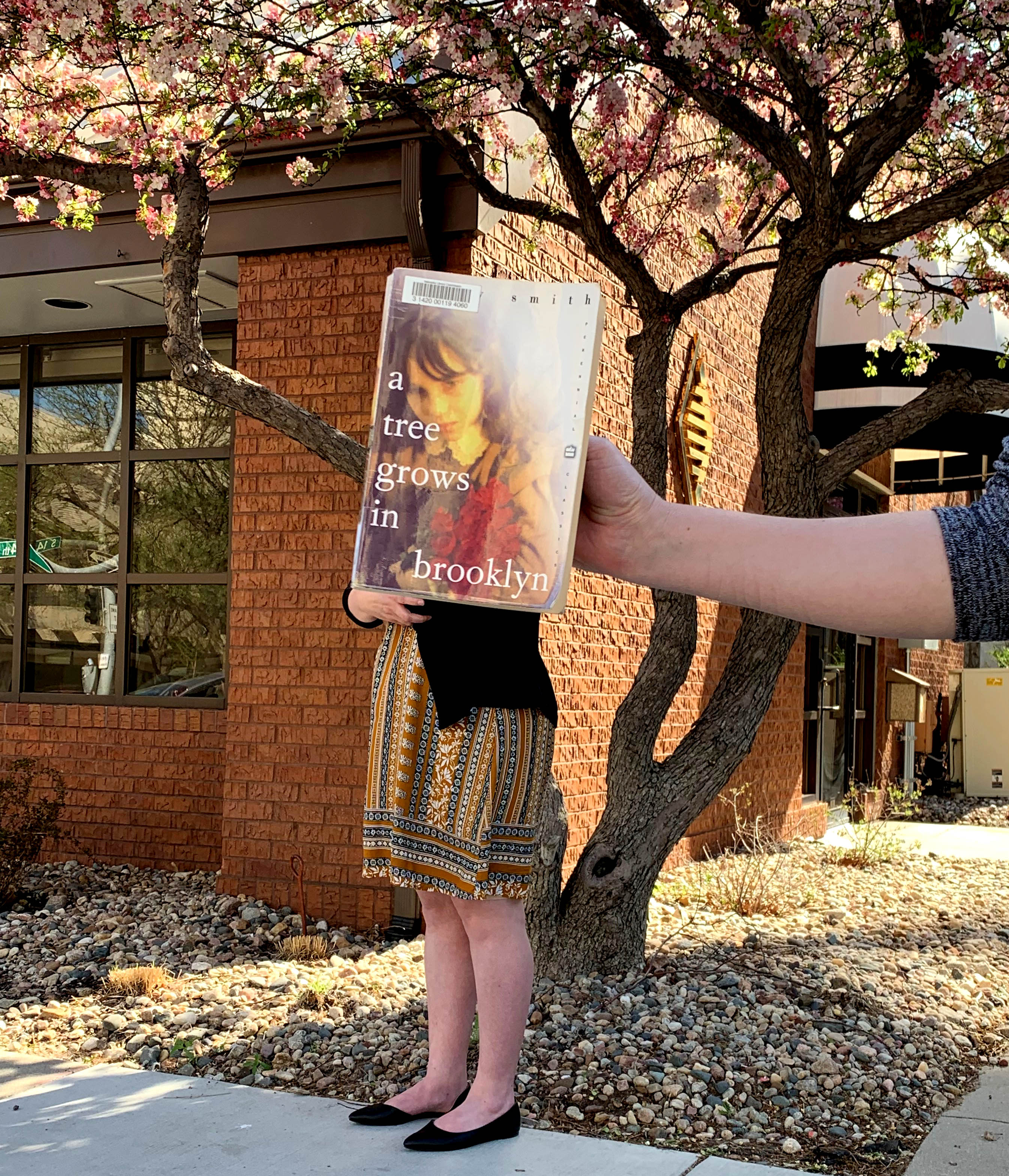 "A Tree Grows in Brooklyn" by Betty Smith BookFace Photo