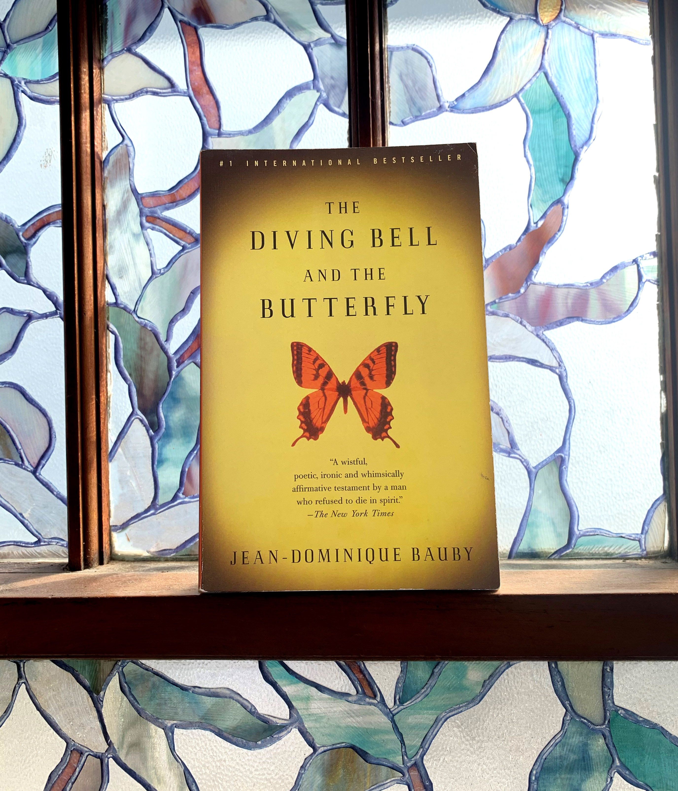 Friday Reads “The Diving Bell and the Butterfly A Memoir of Life in